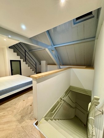 IMG_1258 2 Medium.jpeg